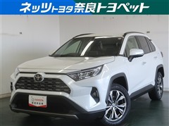 RAV4 G