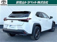 UX250h ヒョウジュン