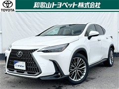 NX350h VER-L