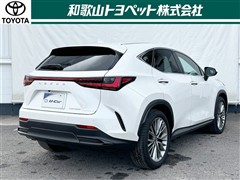 NX350h VER-L