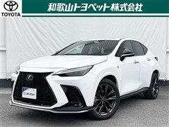 NX350h F SPORT