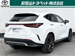 NX350h F SPORT