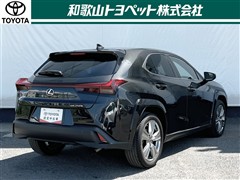 UX250h グレイスフル Exp
