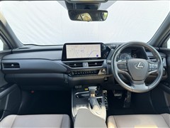 UX250h グレイスフル Exp
