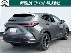 NX250 VER-L