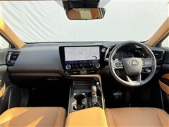 NX250 VER-L
