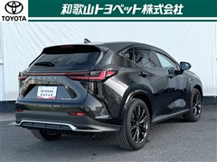 NX350h F SPORT