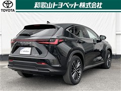 NX450h+ VER-L AWD