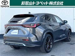 NX350h F SPORT