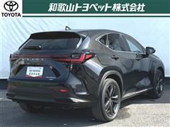 NX450h+ VER-L AWD