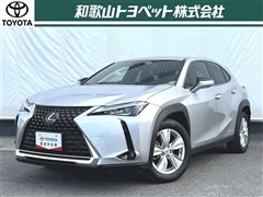 UX250h VER-C
