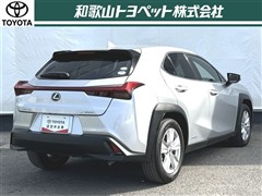 UX250h VER-C