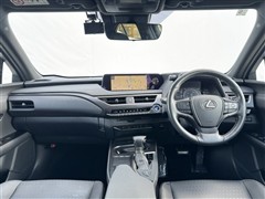UX250h VER-C