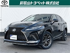 RX300 F SPORT