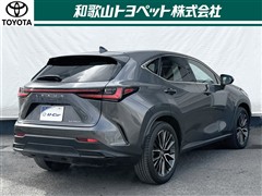 NX350h VER-L