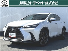 NX350h VER-L