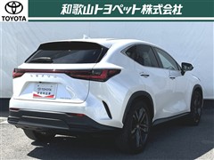 NX350h VER-L