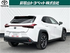 UX250h VER-L AWD