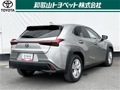 UX250h VER-C