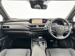 UX250h VER-C