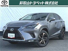 NX300h VER-L