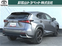 NX300h VER-L