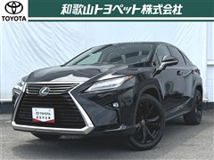 RX300 Black Sequence
