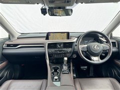 RX300 Black Sequence
