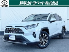 RAV4 G