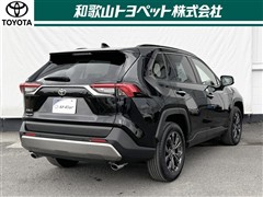 RAV4 G