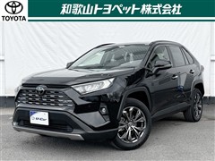 RAV4 G