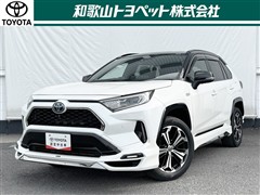 トヨタ RAV4 PHV ブラックトーン
