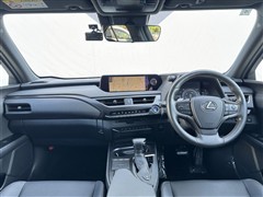UX250h エレガントブラック