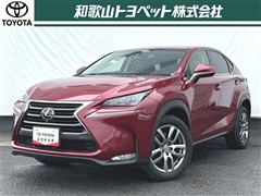NX200t I-PKG