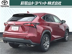 NX200t I-PKG