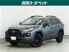 RAV4アドベンチャーオフロード2