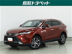 ハリアー G レザーパッケージ