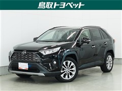 RAV4 G Zパッケージ