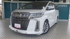 アルファードSタイプゴールド3