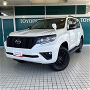 トヨタ ランクル プラドTX LマットBLC