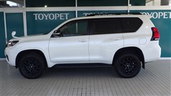 ランクル プラドTX LマットBLC