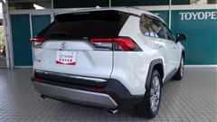 RAV4 G Zパッケージ