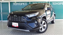 RAV4 G