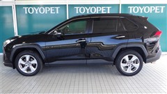 RAV4 G