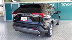 RAV4 G