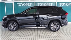 RAV4 ハイブリッドG