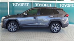 RAV4 G