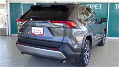 RAV4 G