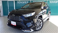 RAV4 G Zパッケージ