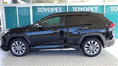 RAV4 G Zパッケージ
